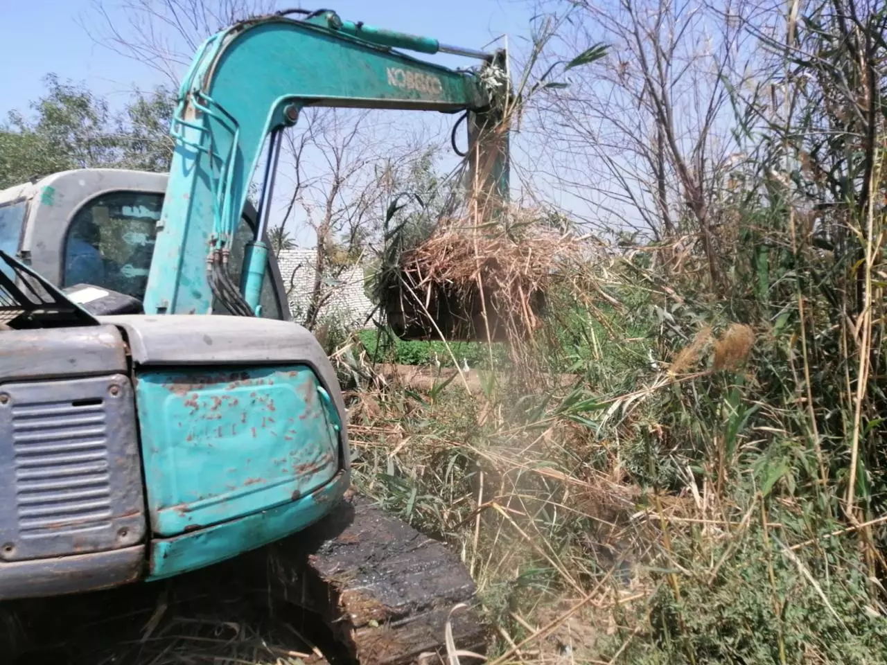 وزارة الزراعة