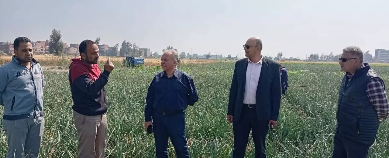  قطاع الخدمات