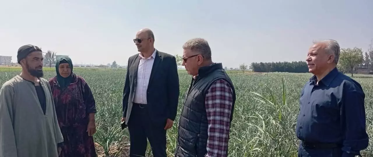  قطاع الخدمات