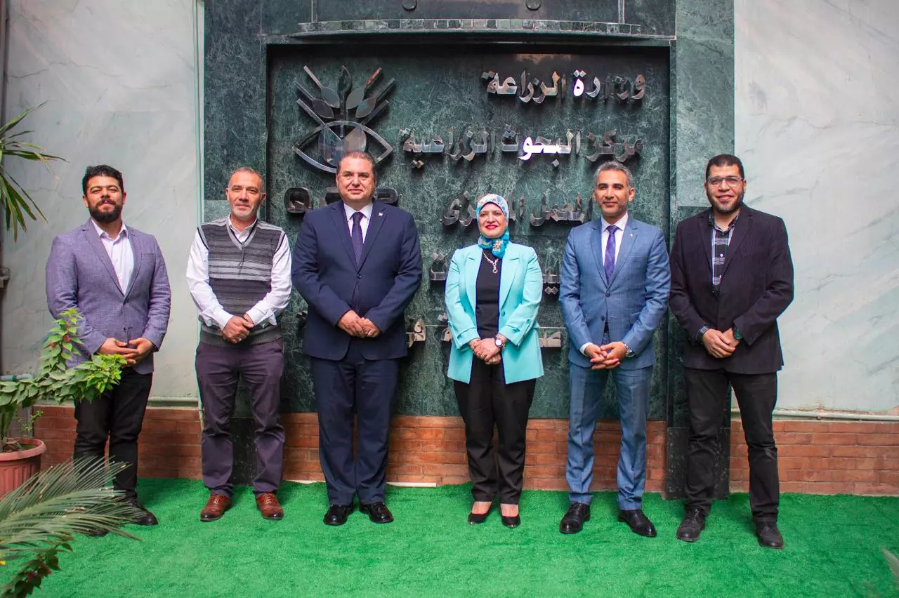 سلامة الغذاء