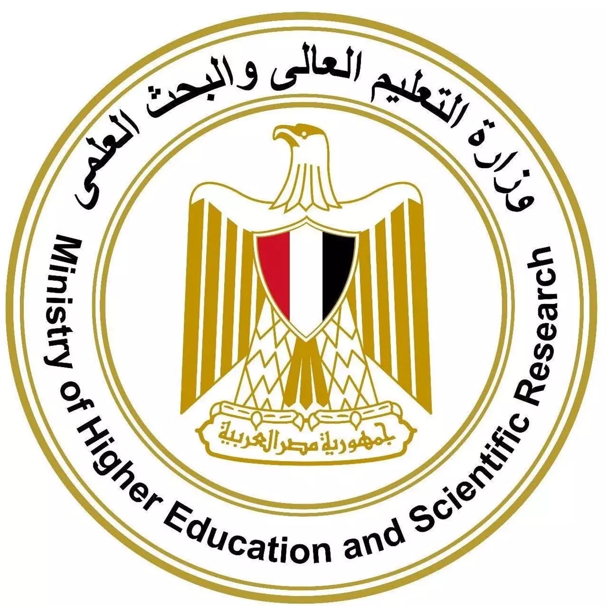 التعليم العالي