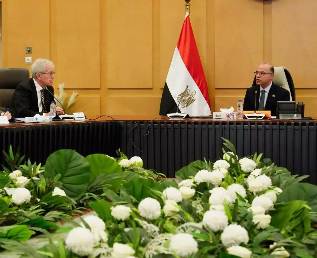 وزير الاستثمار