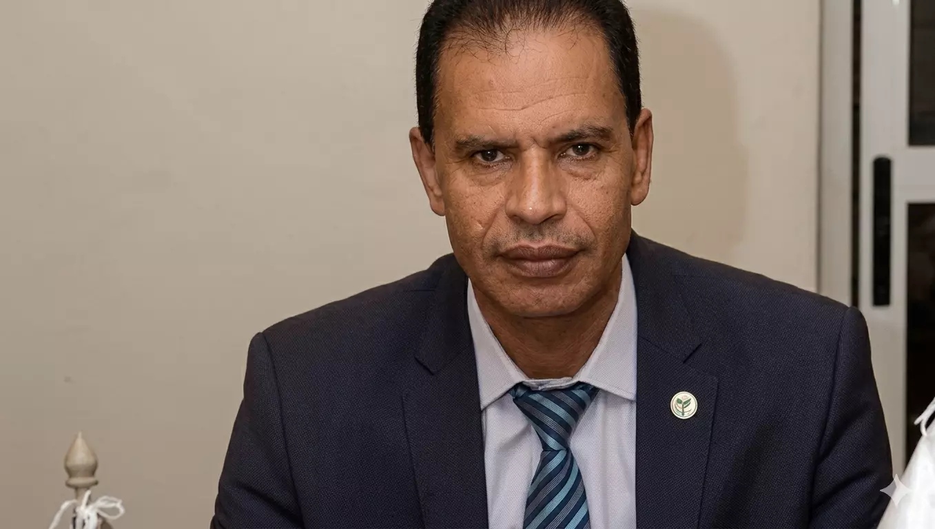 هشام رضوان