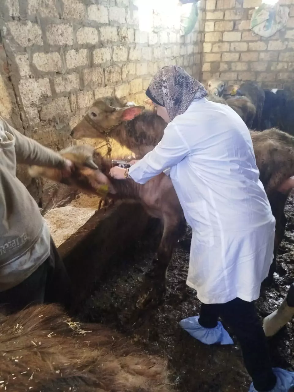 وزارة الزراعة