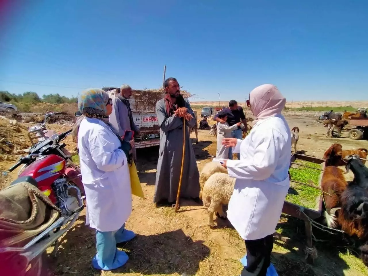 وزارة الزراعة