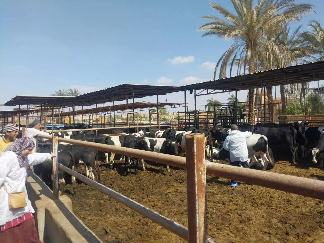 وزارة الزراعة