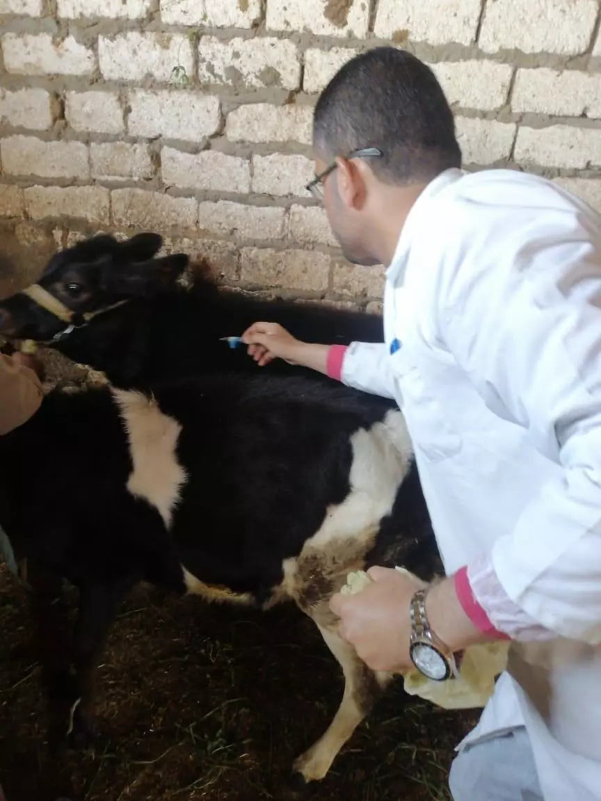وزارة الزراعة