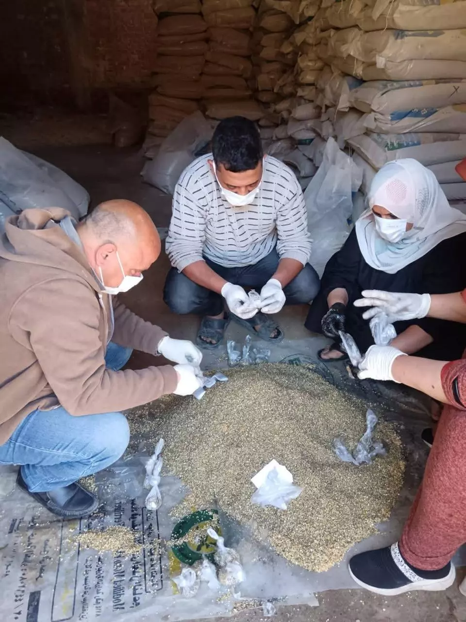 وزارة الزراعة