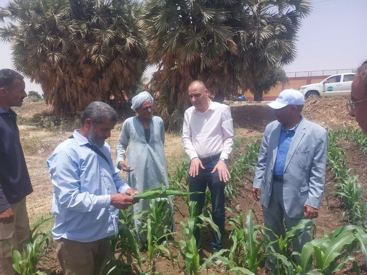 وزارة الزراعة
