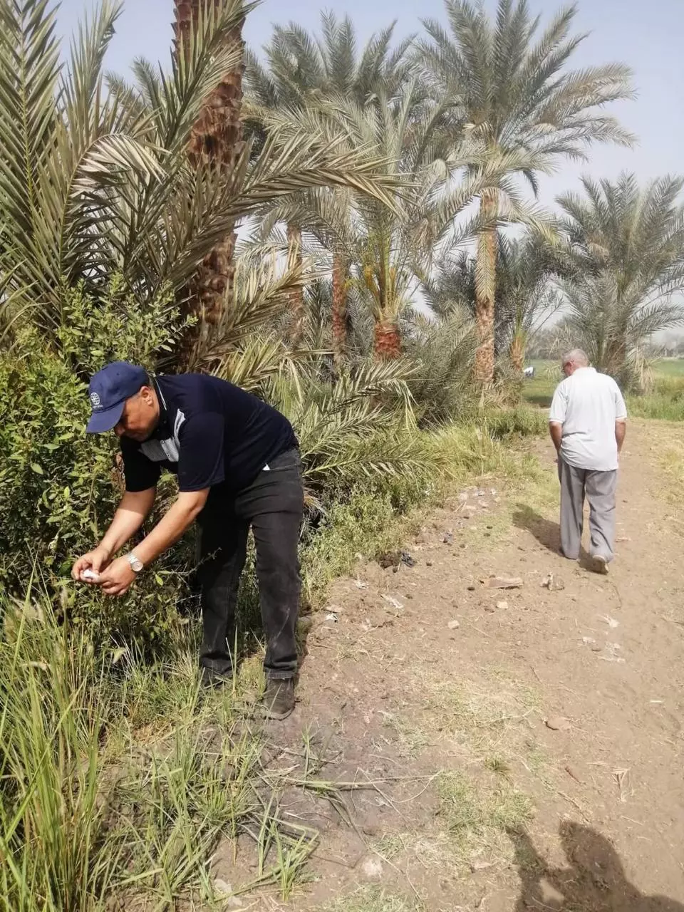 وزير الزراعة