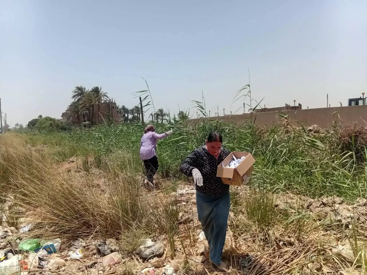 الزراعة