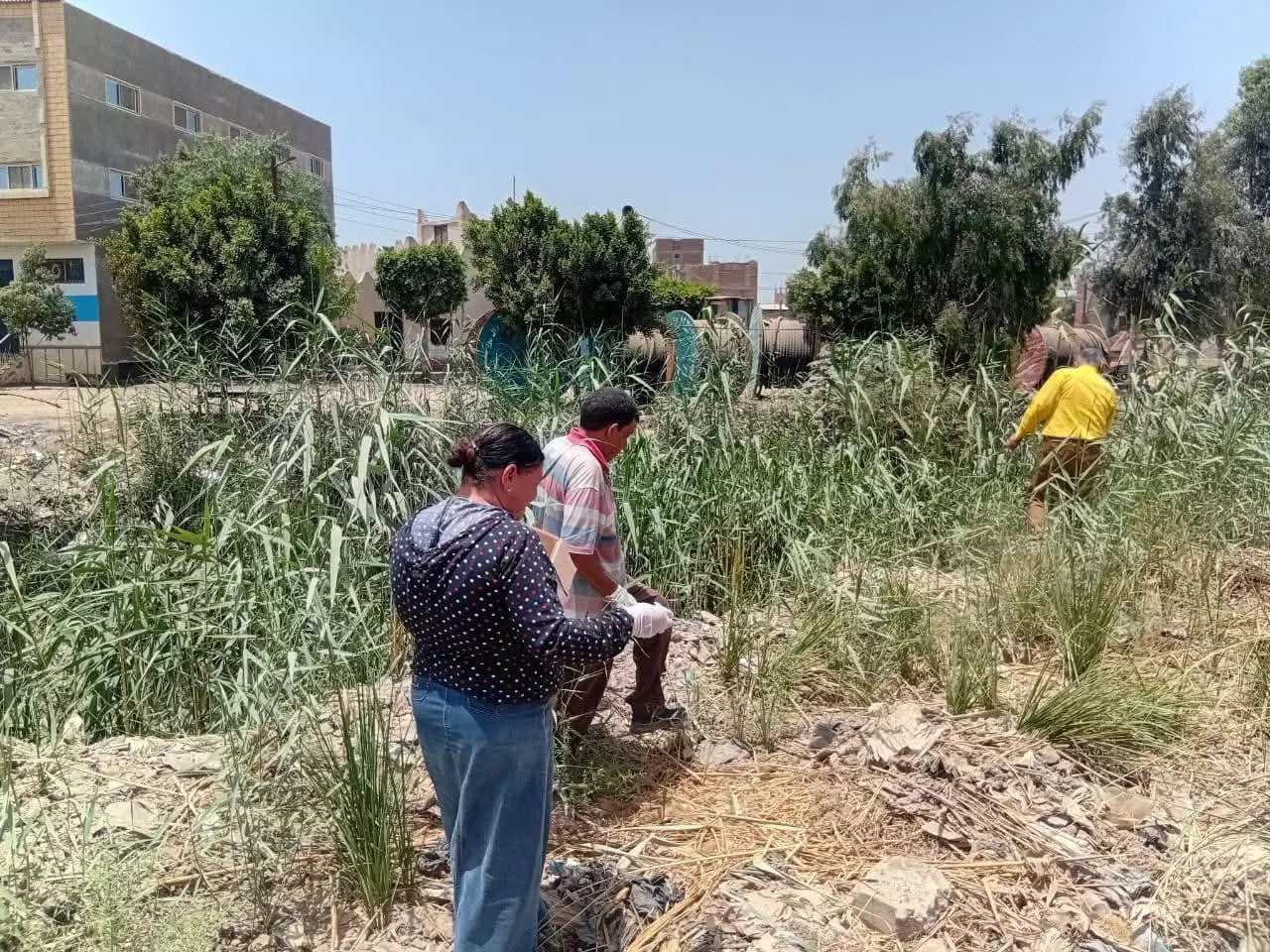الزراعة