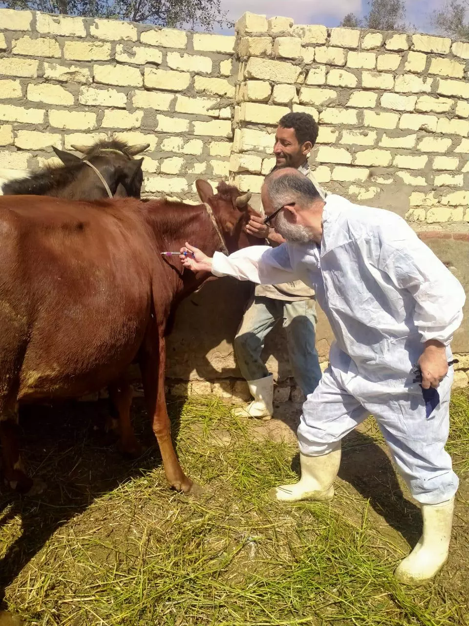 وزير الزراعة