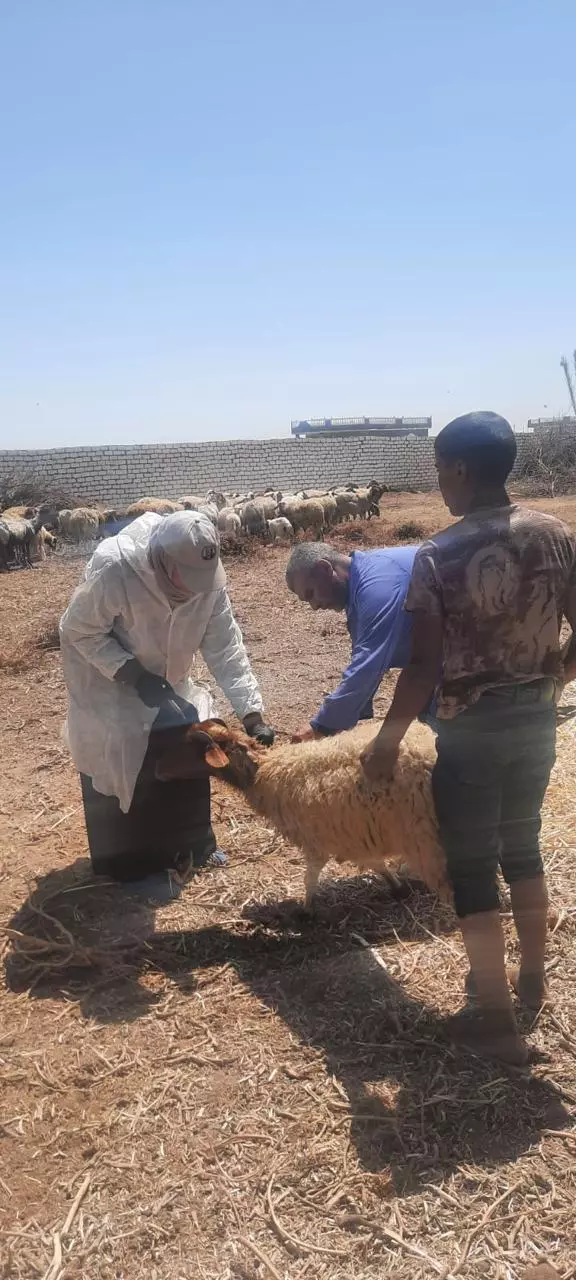 وزير الزراعة