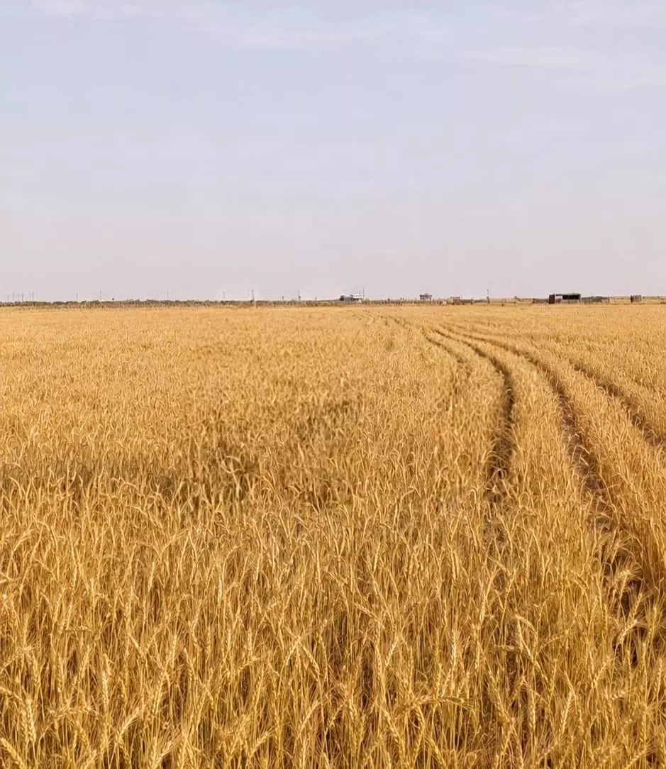 وزير الزراعة