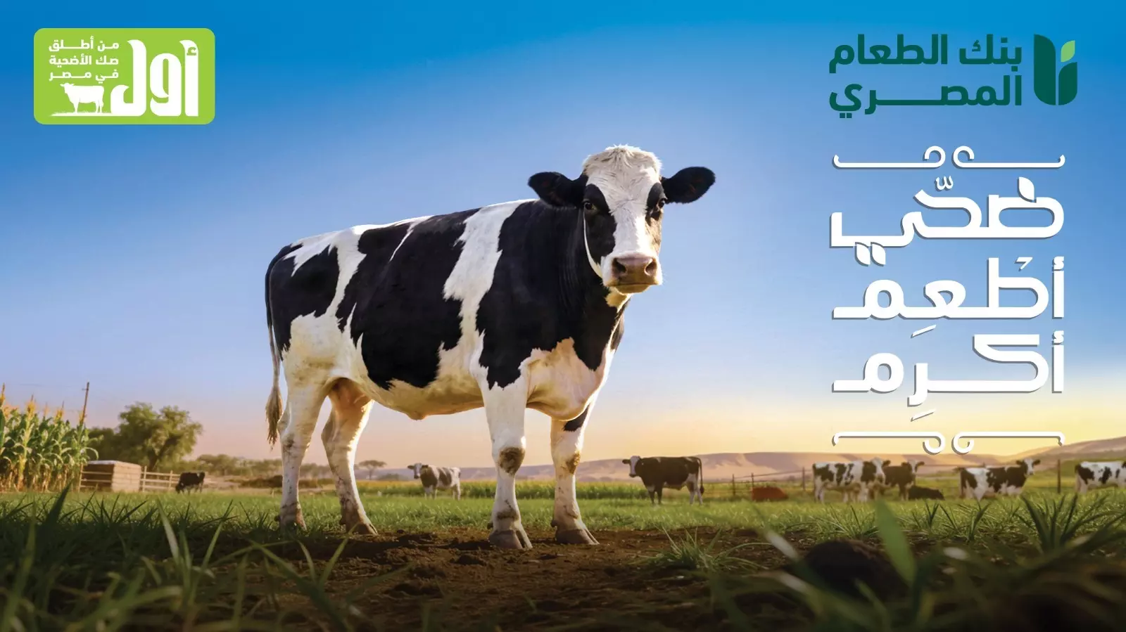 بنك الطعام المصري