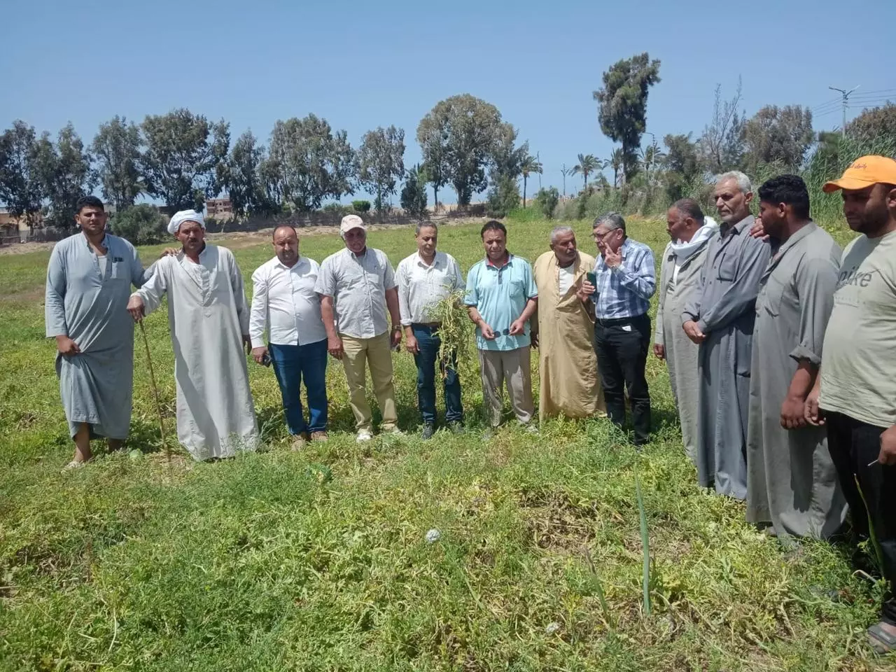 وزارة الزراعة