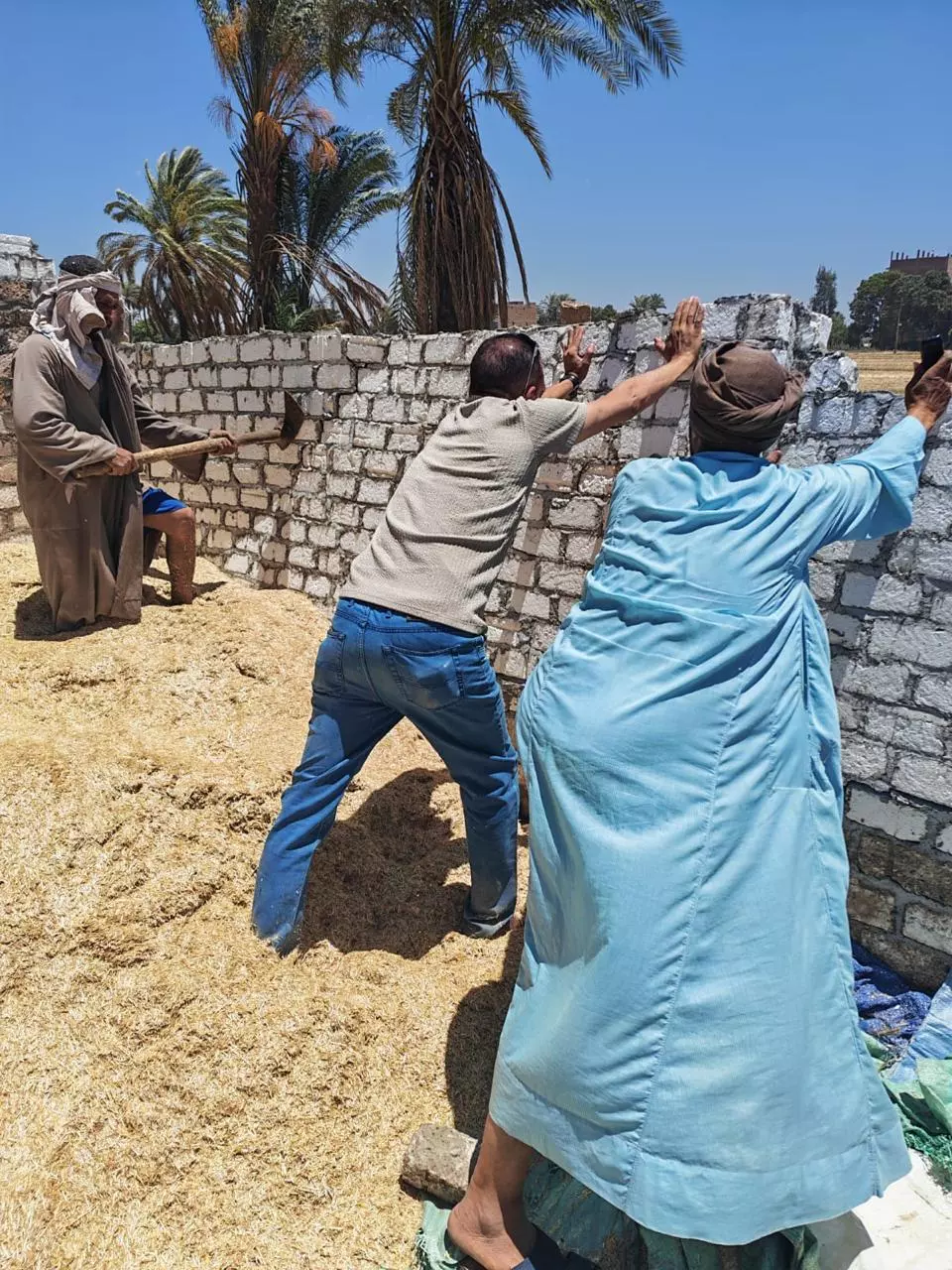 وزارة الزراعة