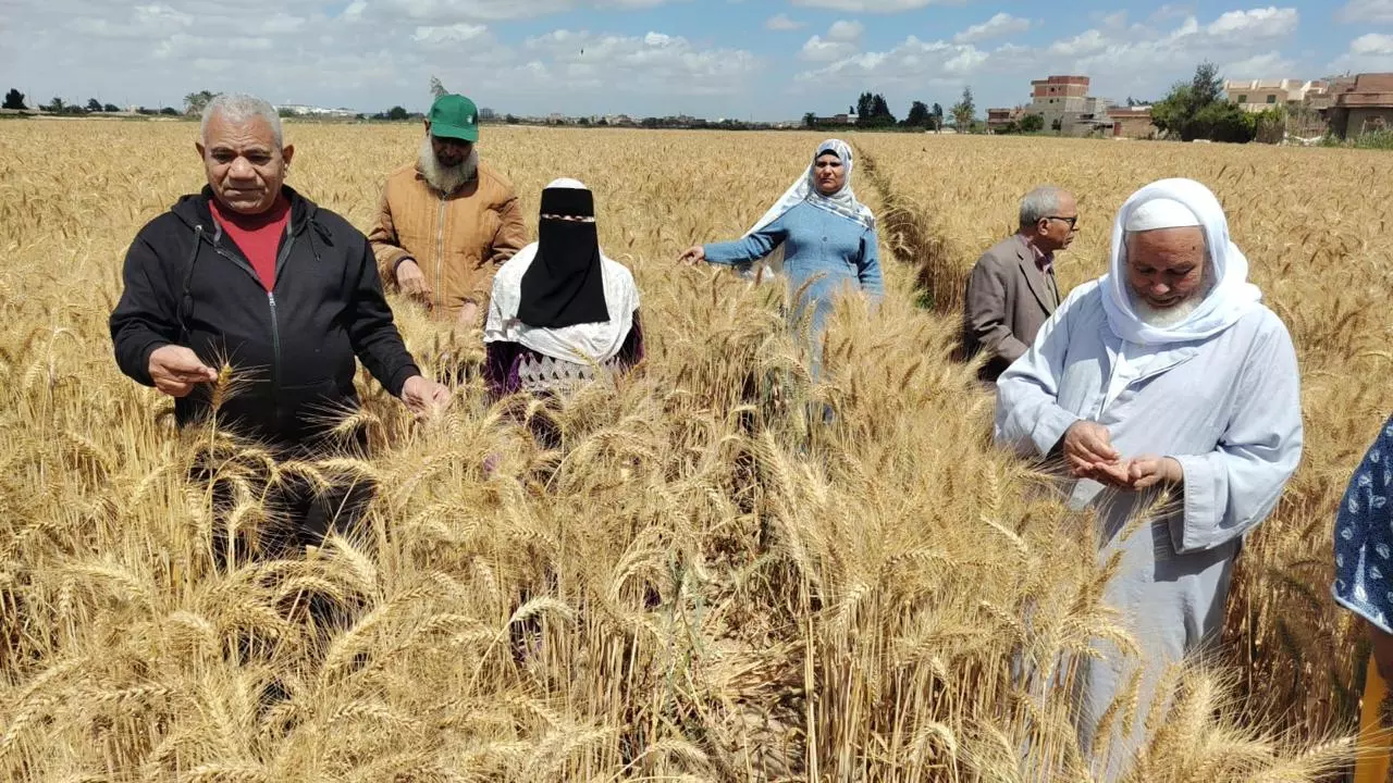 وزارة الزراعة