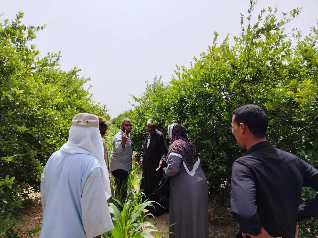وزارة الزراعة