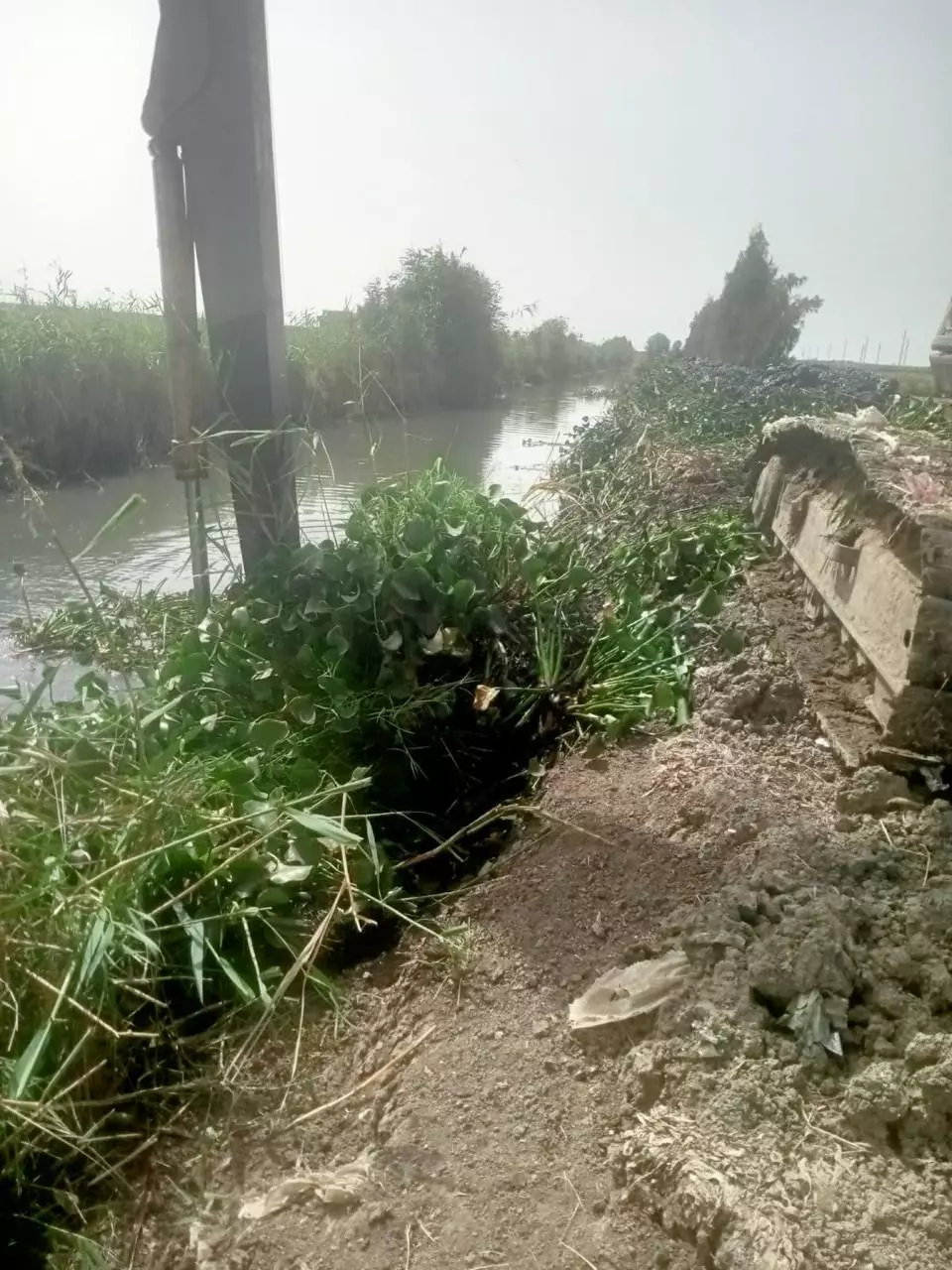 وزارة الزراعة