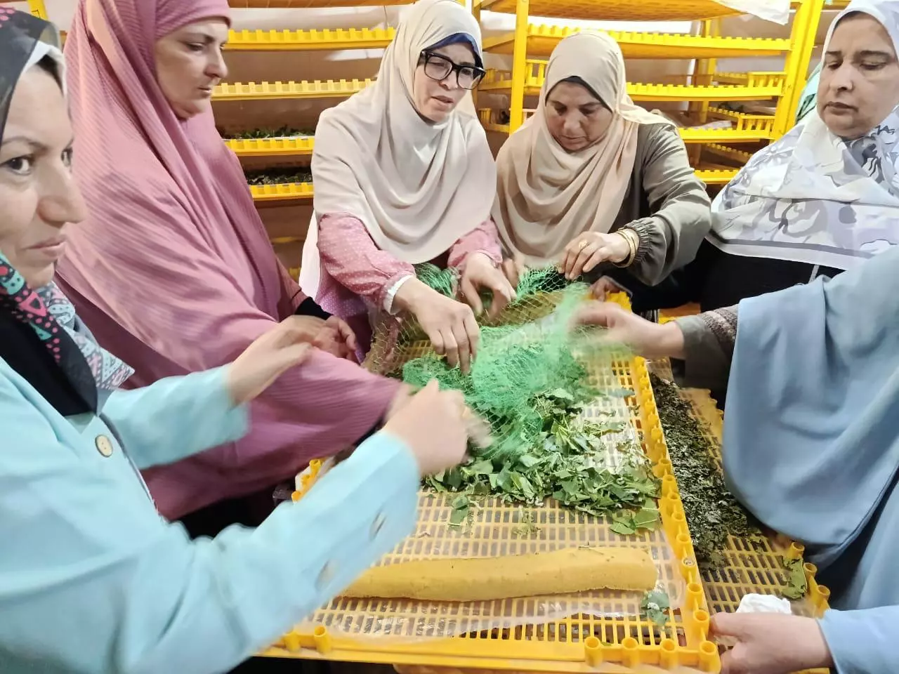 وزارة الزراعة