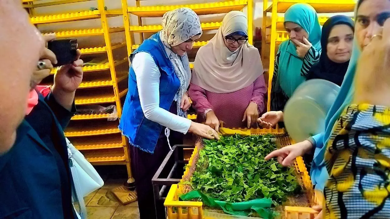 وزارة الزراعة