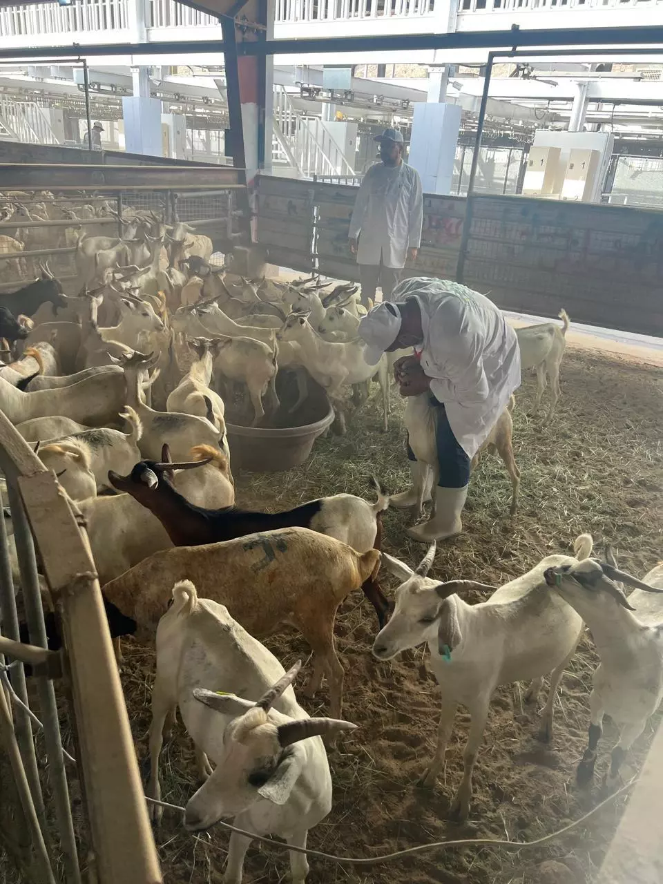 الزراعة