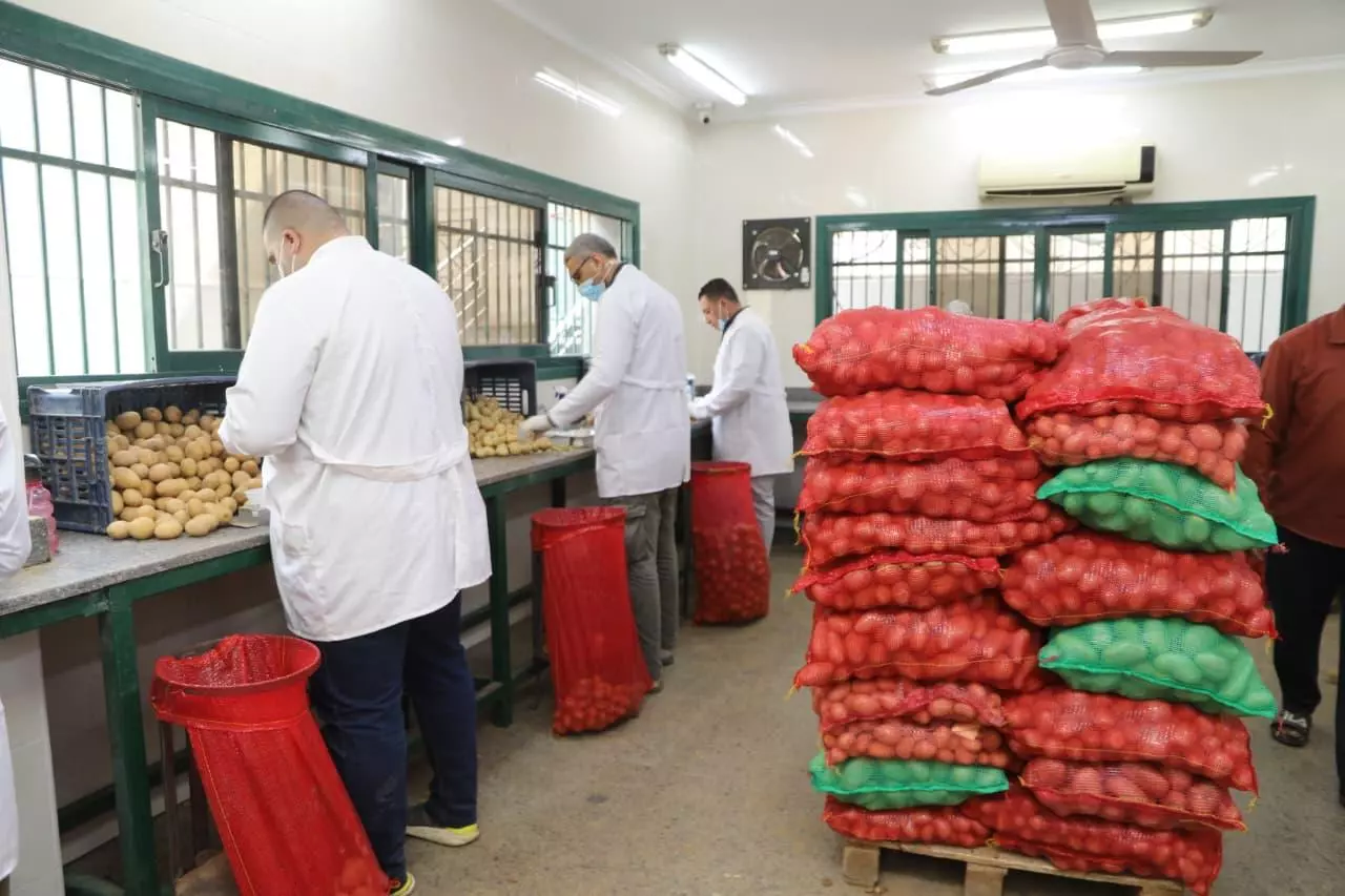 الزراعة