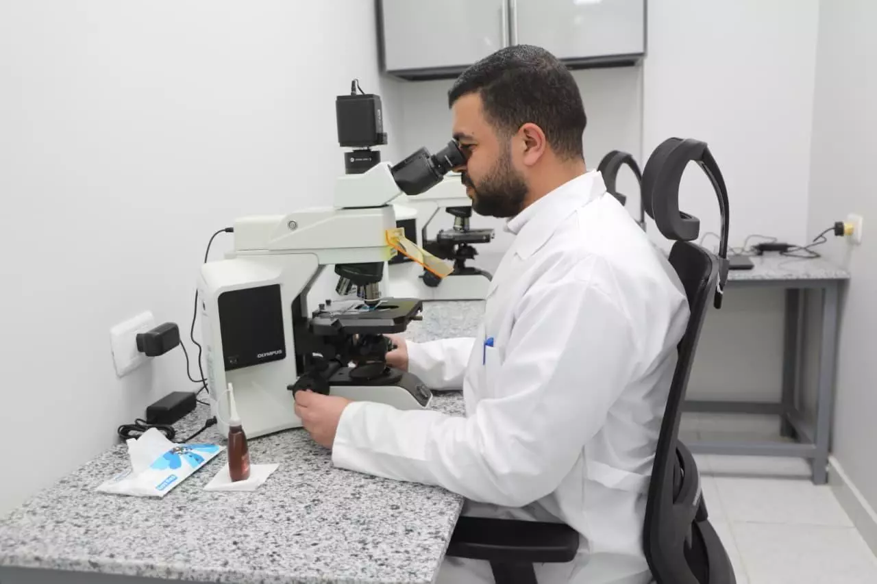 الزراعة