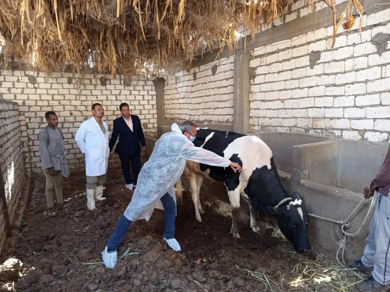 وزارة الزراعة
