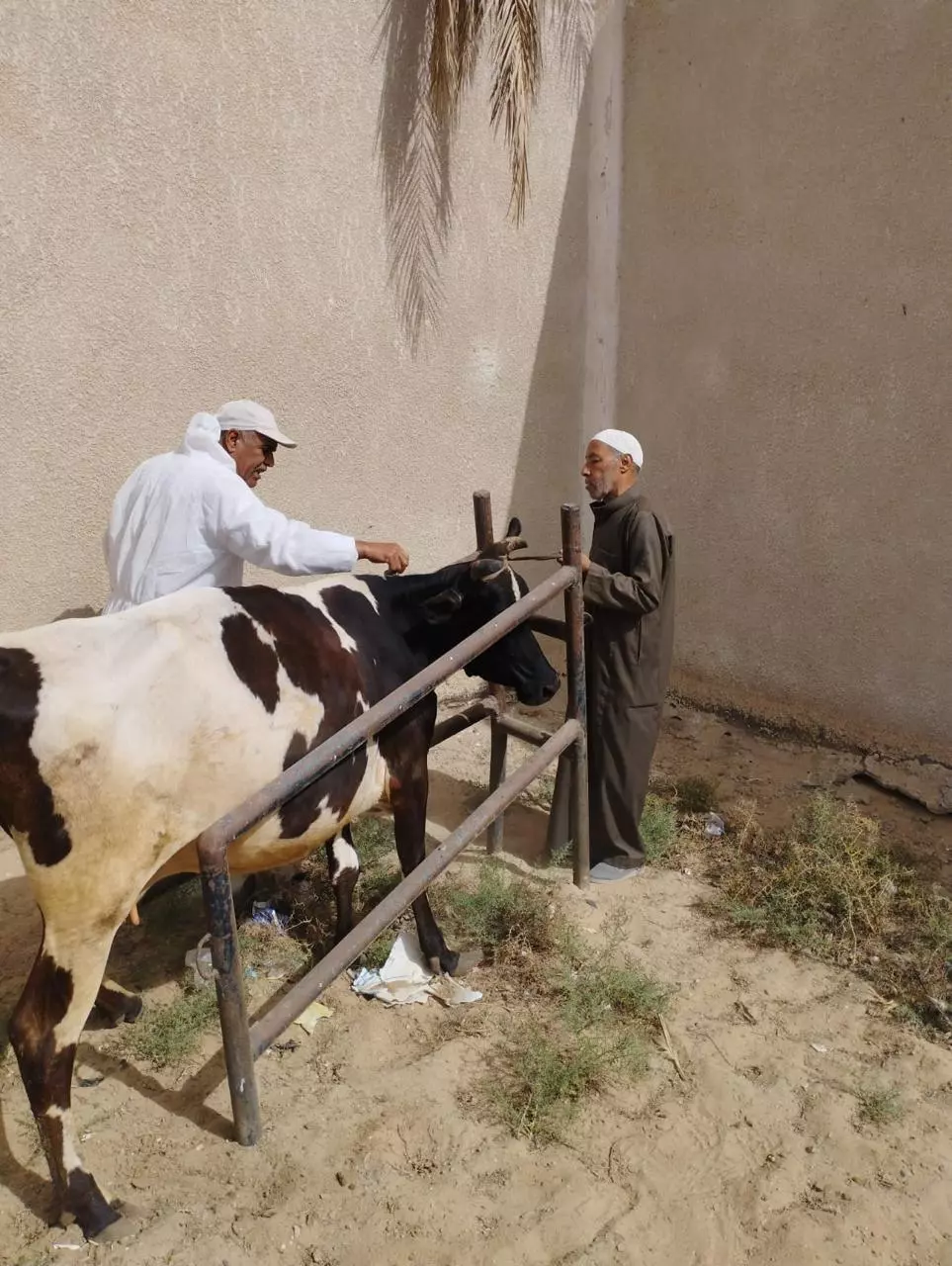 وزارة الزراعة