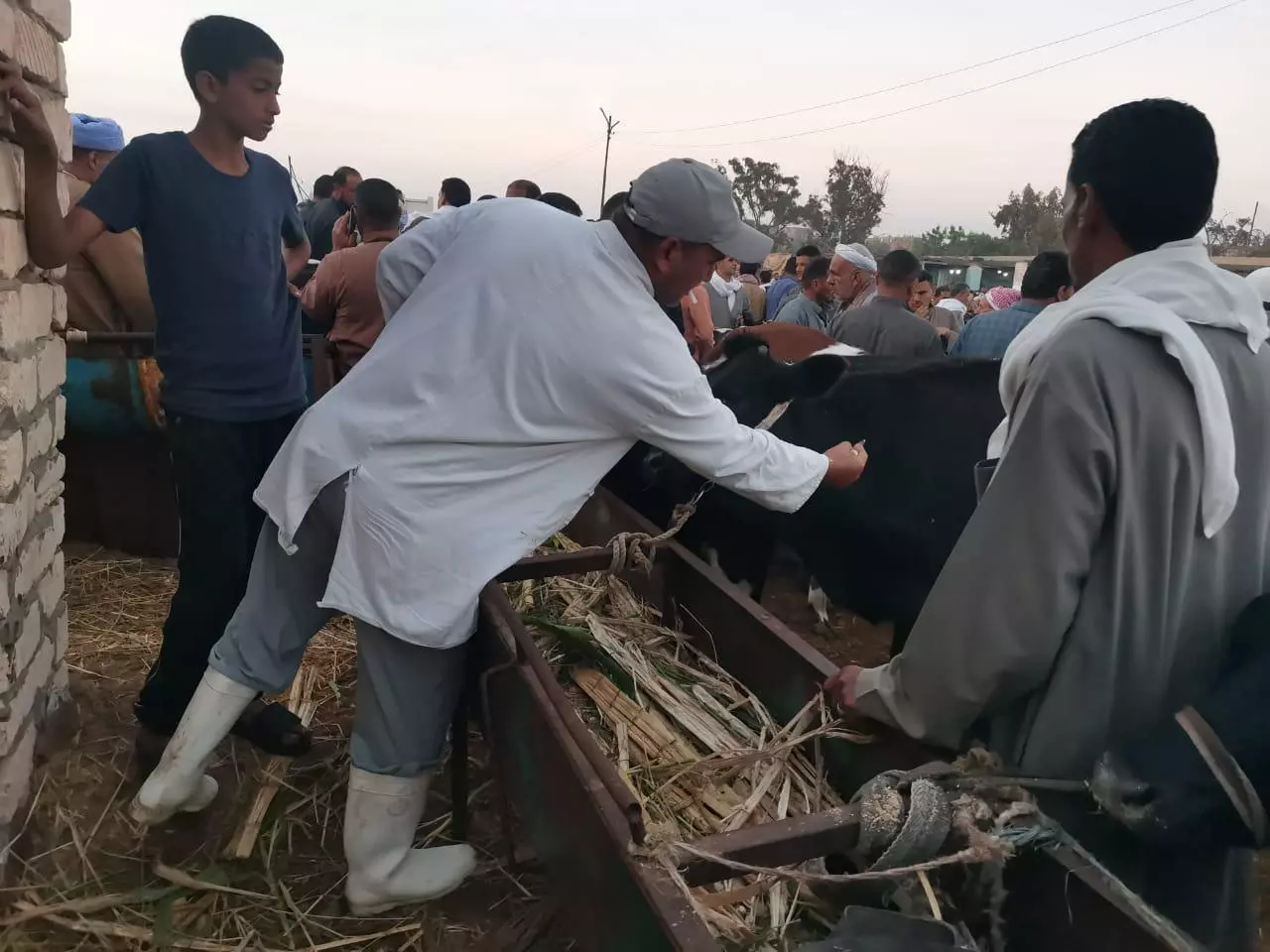 وزارة الزراعة