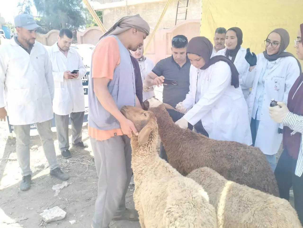وزارة الزراعة