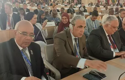 الدكتور محمد عطية الفيومي